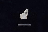 陶片藏品圖，第2張